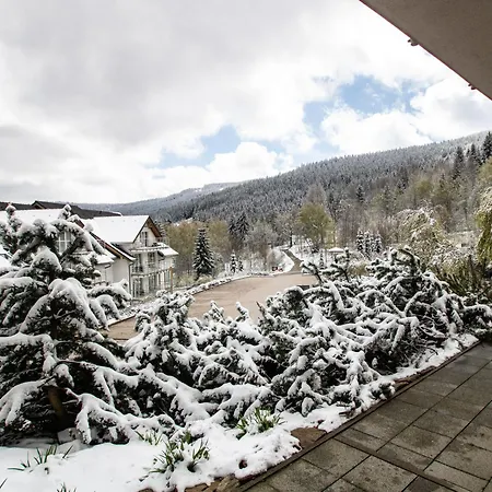 Czarna Gora - Livigno 1 I 2 Daire *