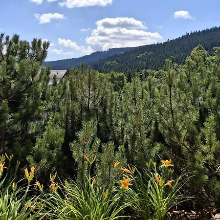 Apartmán Czarna Gora - Livigno 1 I 2 Sienna (Klodzko)