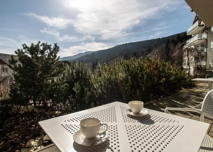 Apartmán Czarna Gora - Livigno 1 I 2 *