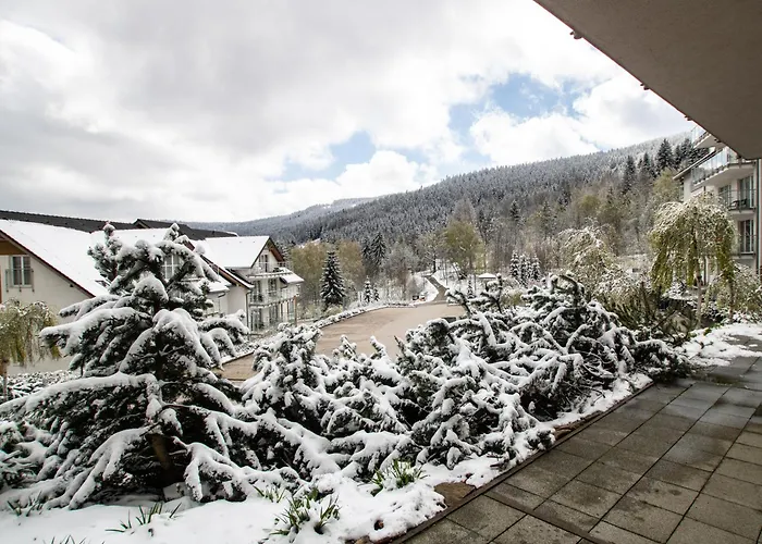 Czarna Gora - Livigno 1 I 2 Apartmán *