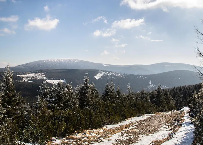 Apartmán Czarna Gora - Livigno 1 I 2 Sienna (Klodzko)