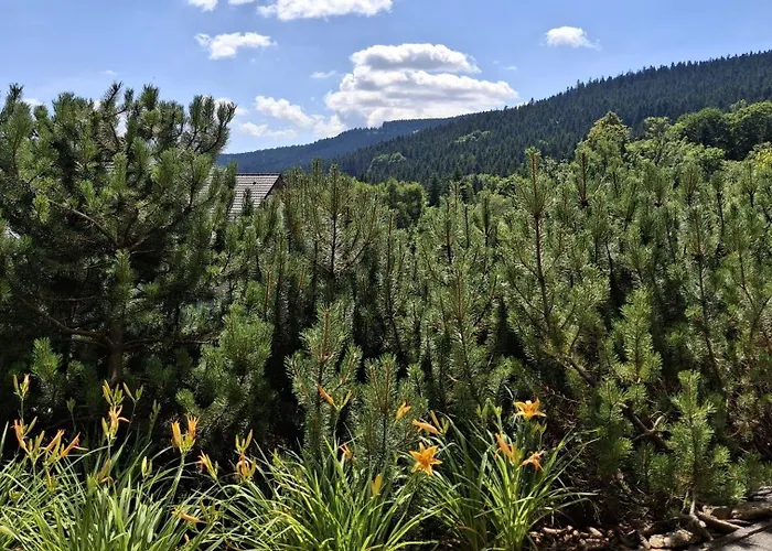 Apartmán Czarna Gora - Livigno 1 I 2 Sienna (Klodzko)